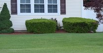 Perfect landscaping front lawn by Chelmsford landscape design