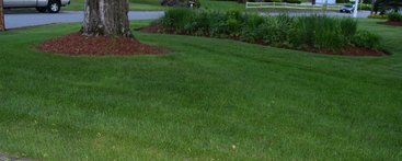 Landscaping Billerica MA and mulch lawn care Landscape Service