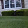 Best Landscape by Chelmsford MA Landscaping Company 